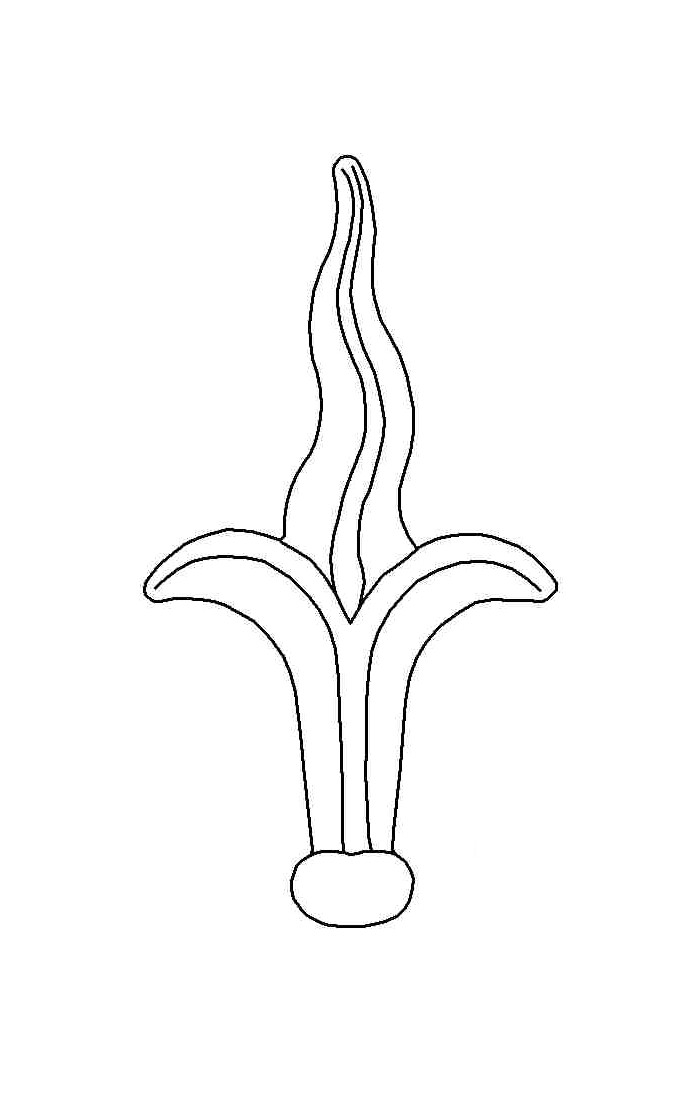 Zierspitze 3