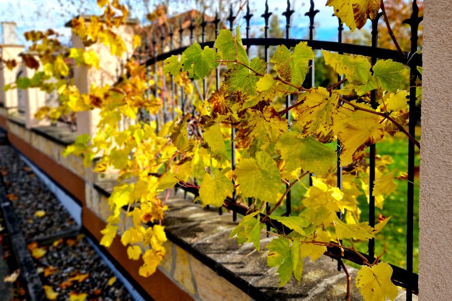 Wrought,Iron,Railings,,Fencing,Towards,The,Street,Is,From,The